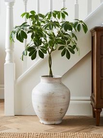 Traditional Stone Vase