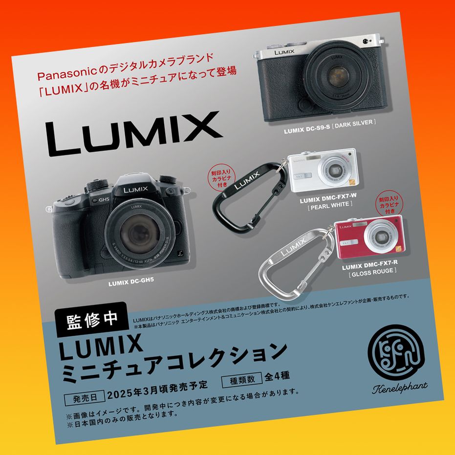 Panasonic LUMIX GH5S おまけ付き Lensrentals.com - Buy a Panasonic GH5S