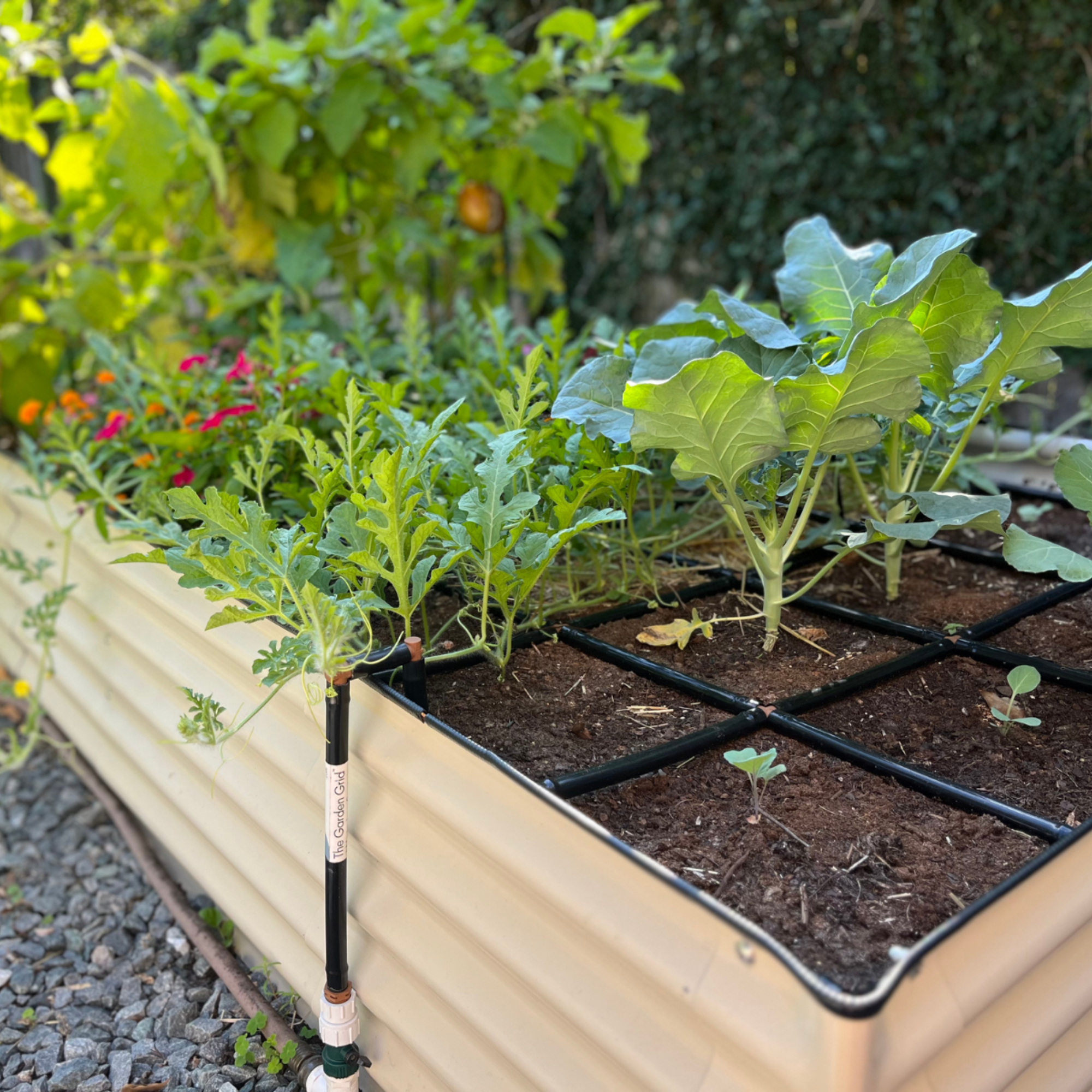 Garden In Minutes raised bed system