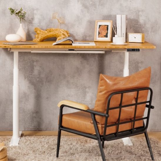 FlexiSpot E8 Frame + Bamboo Series Standing Desk | TechRadar