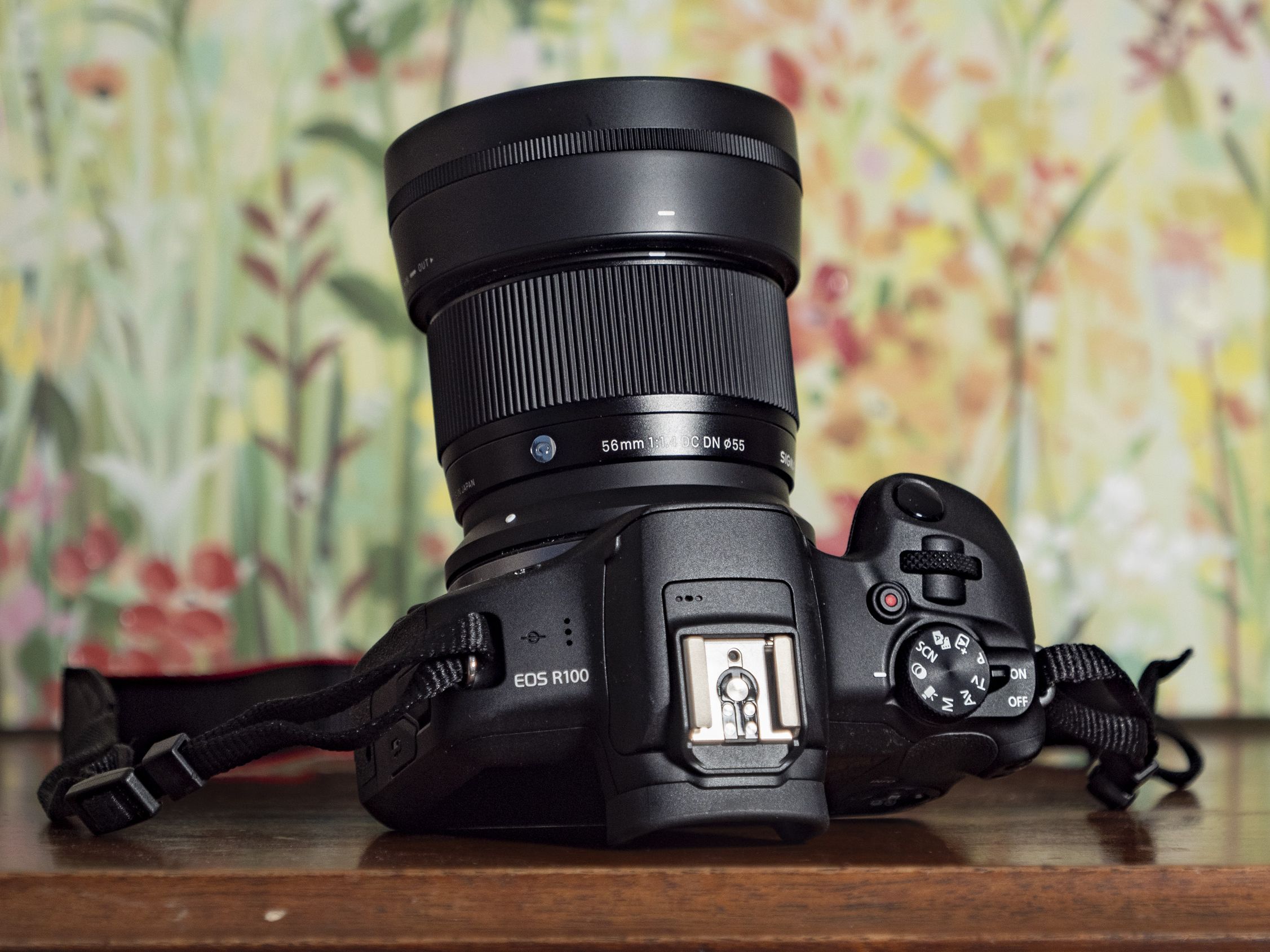 み*ほ様 未使用級 SIGMA 56mm F1.4 DC DN Canon用【返 Amazon.com : 56mm F1.4 DC DN Nikon Z Mount : Electronics