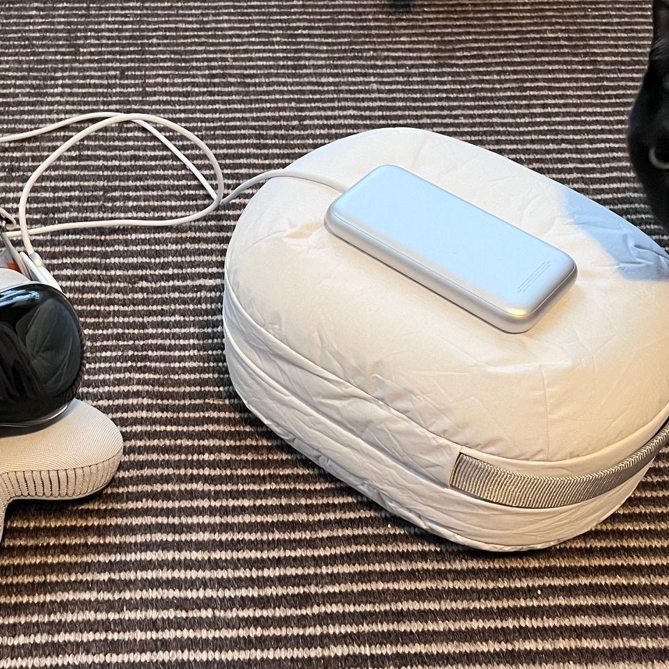 Belkin】Vision Pro トラベルバッグ Apple Store限定 Belkin's Travel