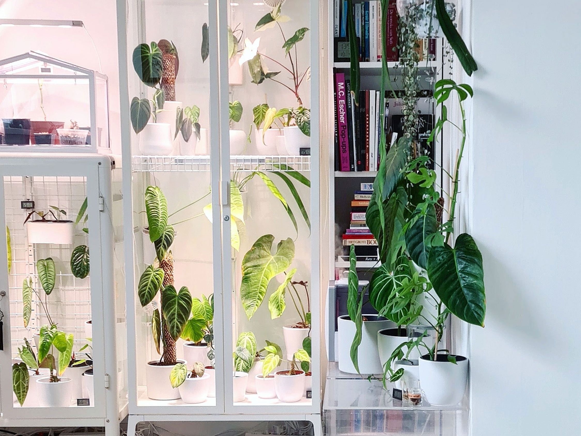 The IKEA greenhouse cabinet is the ultimate IKEA hack for plant lovers |  Gardeningetc