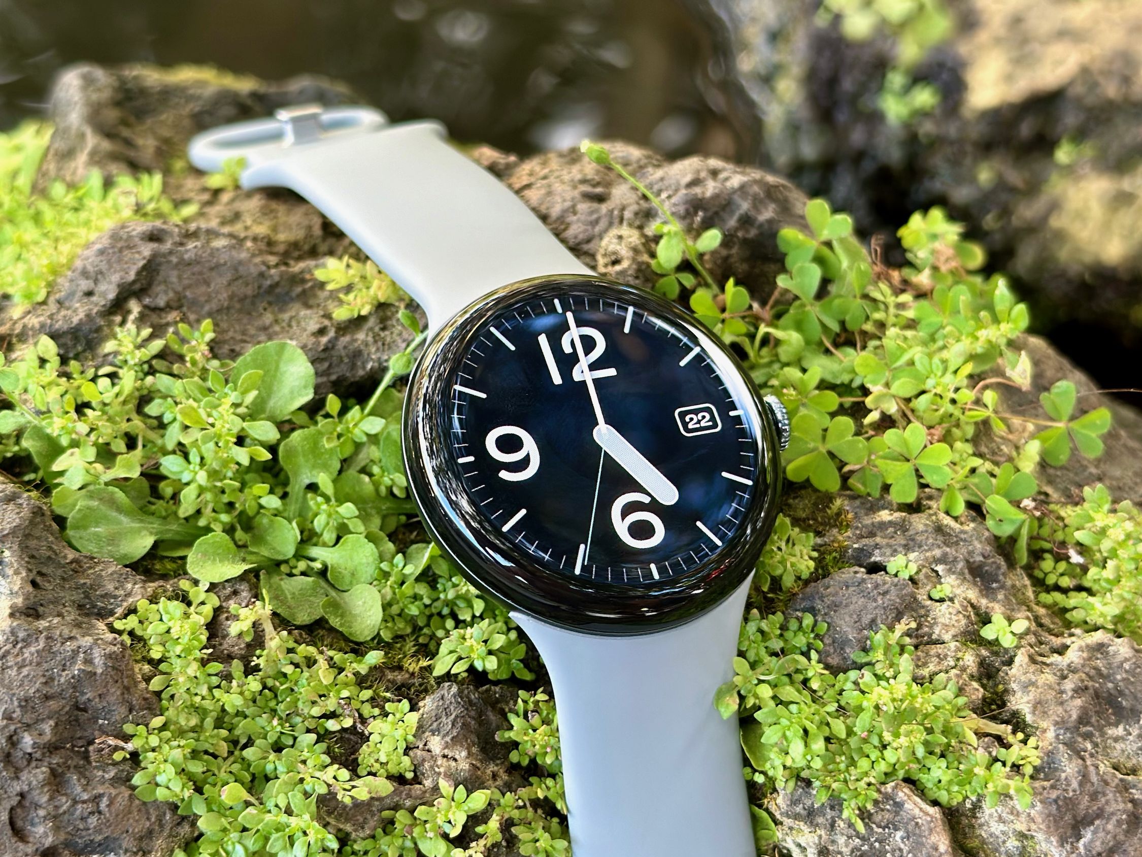 Sotwe tango yerli she answered with a pleasant plus a