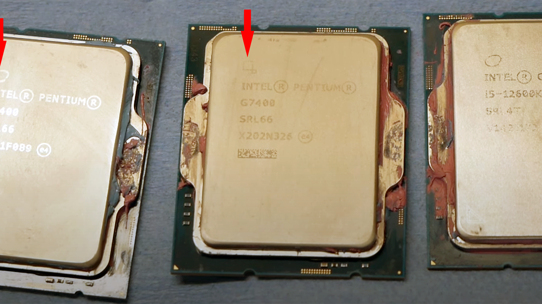 アガベ OPEN AVX-512 Performance With 256-bit vs. 512-bit Data Path For AMD