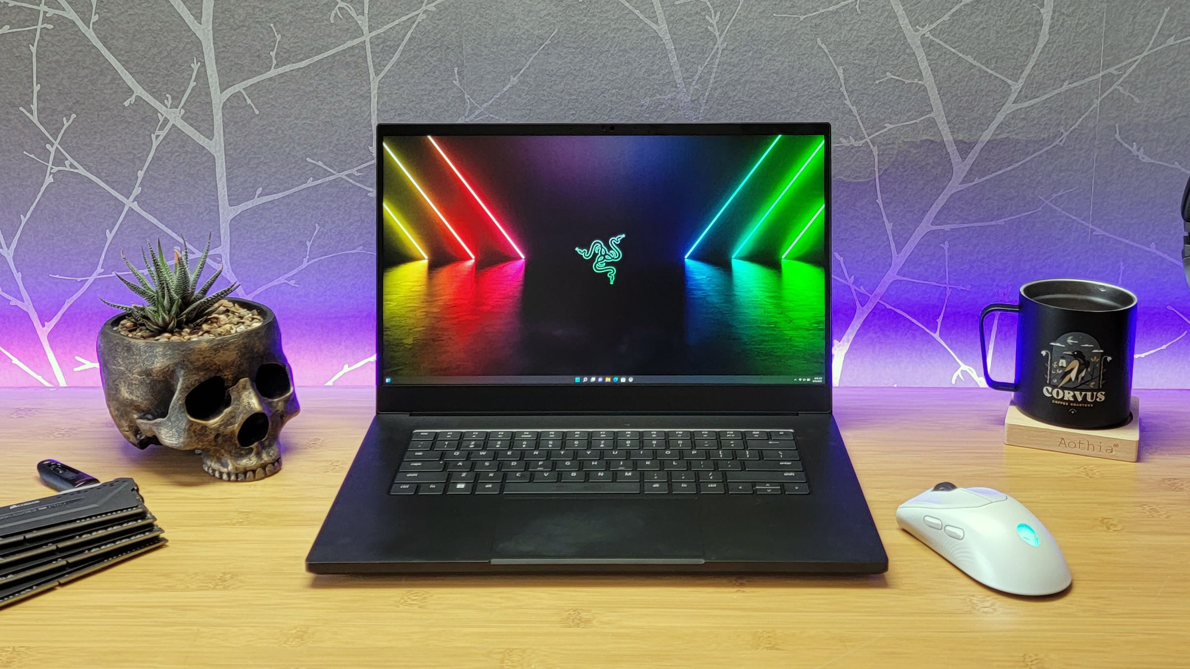 Ty3gjXsQ4vPLPWZJxDsXaH.jpg