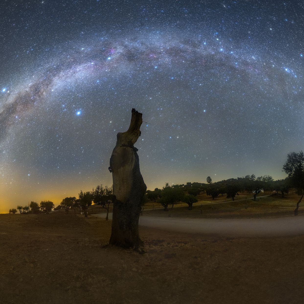 Milky Way's seasonal transition captured in gorgeous night sky