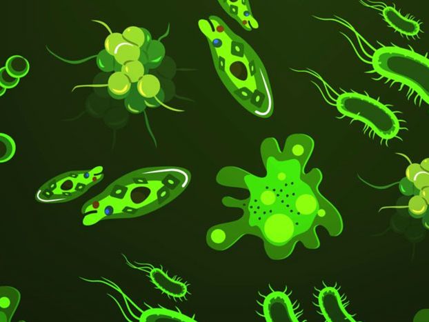 Imagining Strange New Lifeforms Could Help Us Discover Our Own