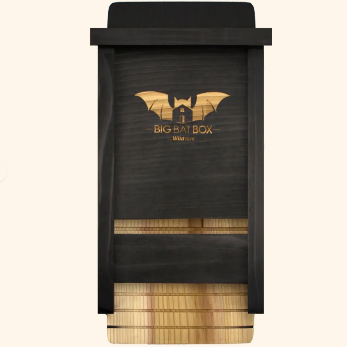 Single Chamber Bat House (black)