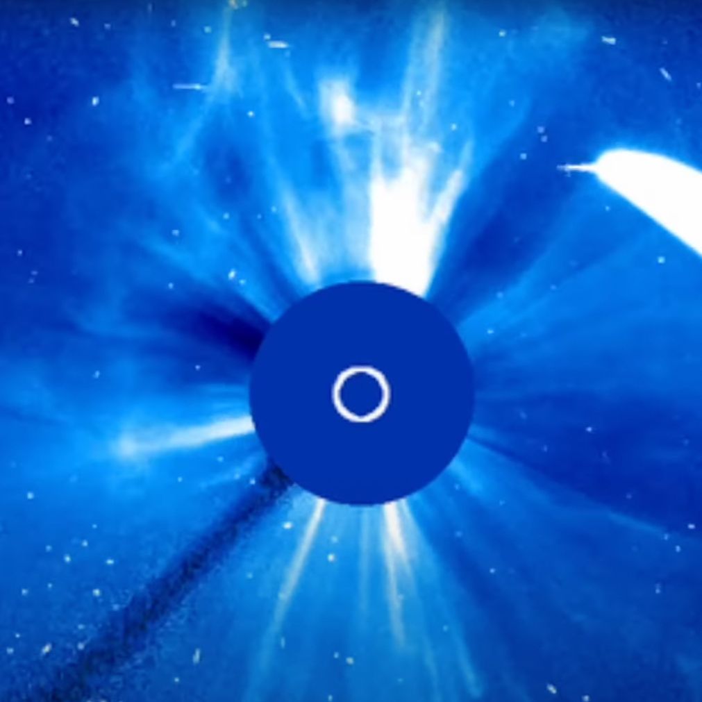 ＊ comet 様 ＊ ご相談ページです♪ LLnmQPjuNDvE2HPqvT7m4C.jpg