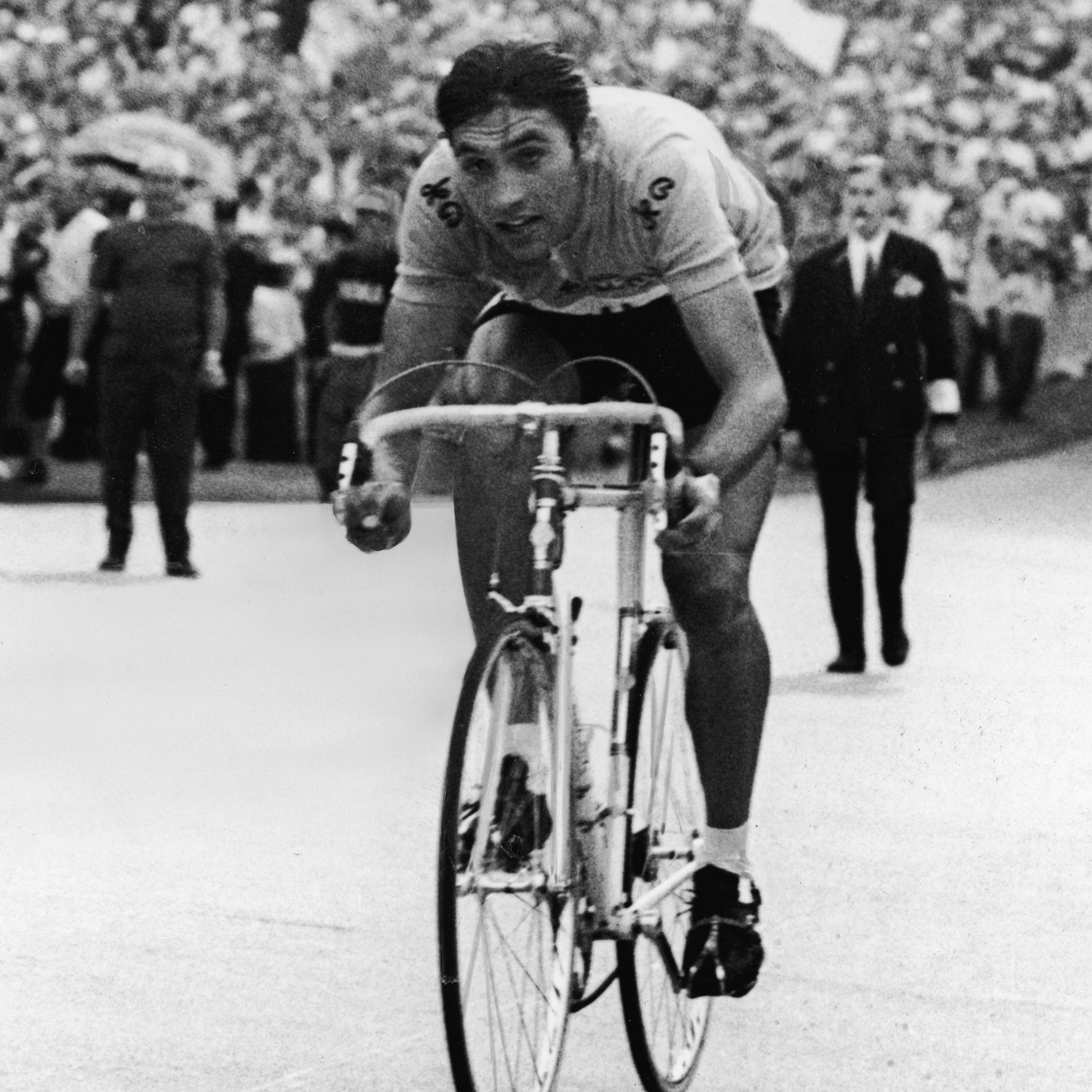 【公式】アクセサリーの激安通販 at Merckx Eddy 80: greatest the is cannibal' 'the Why 自転車本体