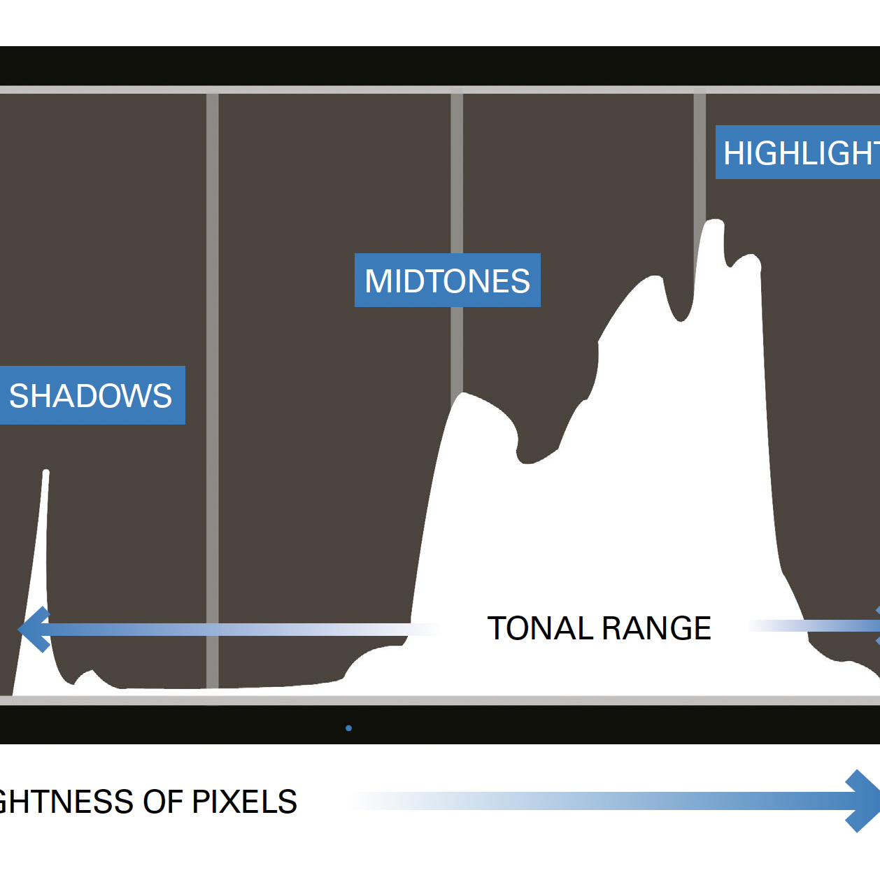 Histogram Shapes and What They Mean