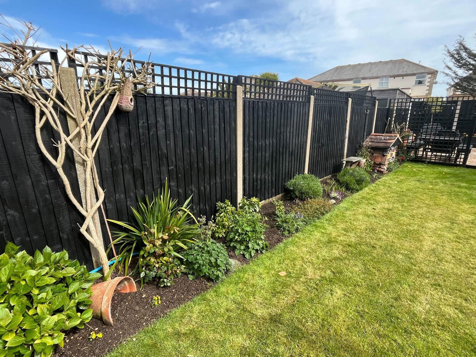 Attractive garden fence panels providing privacy and style