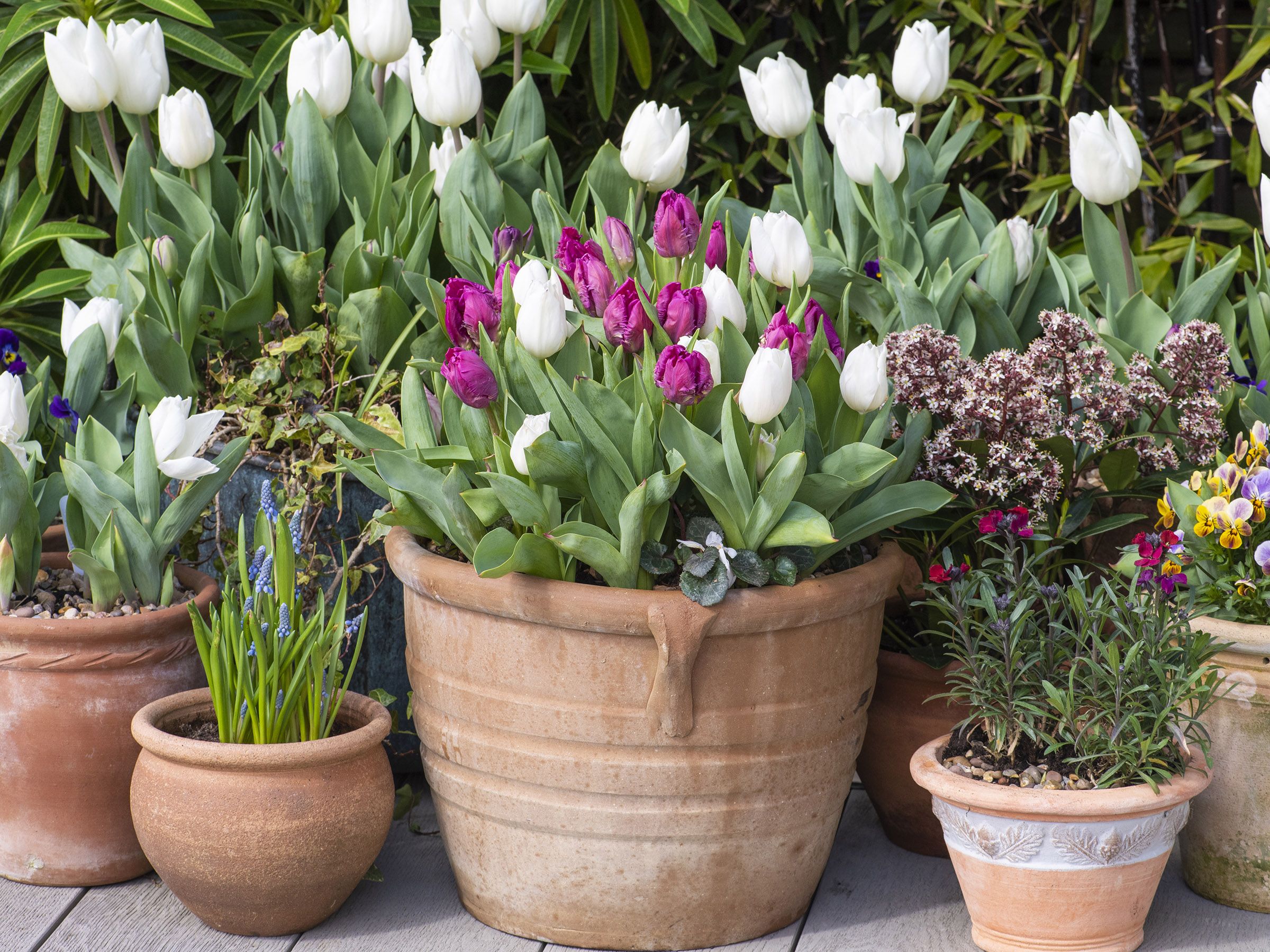 garden planters Aluminum Raised Bed | Optional Casters main image 1