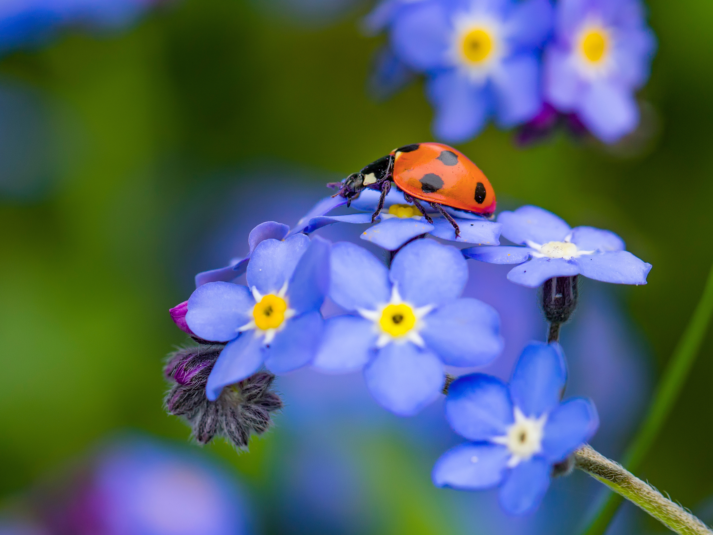 Yumi heart onlyfans Join to my world💋.