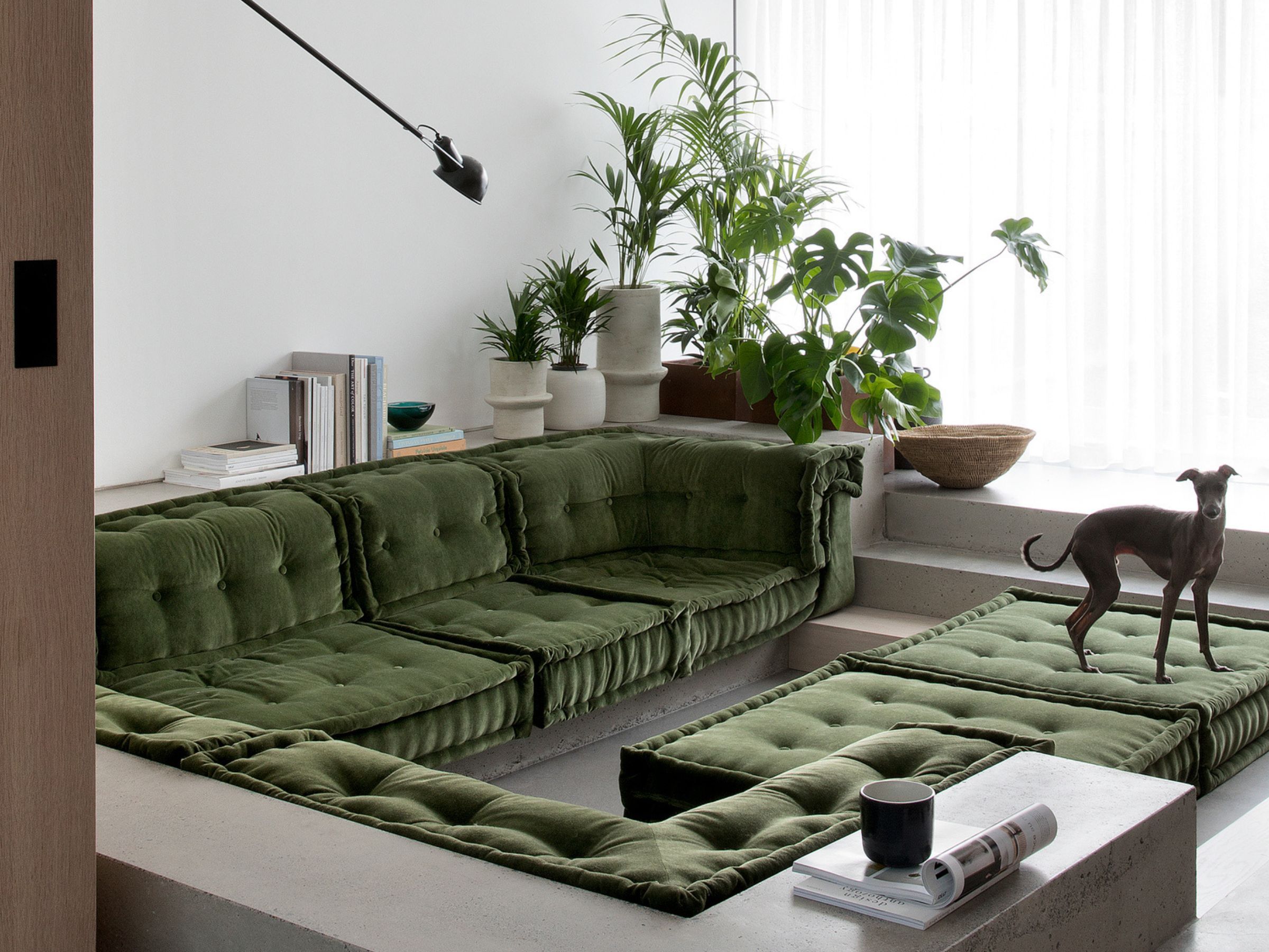 Biophilic Interior Design Living Room