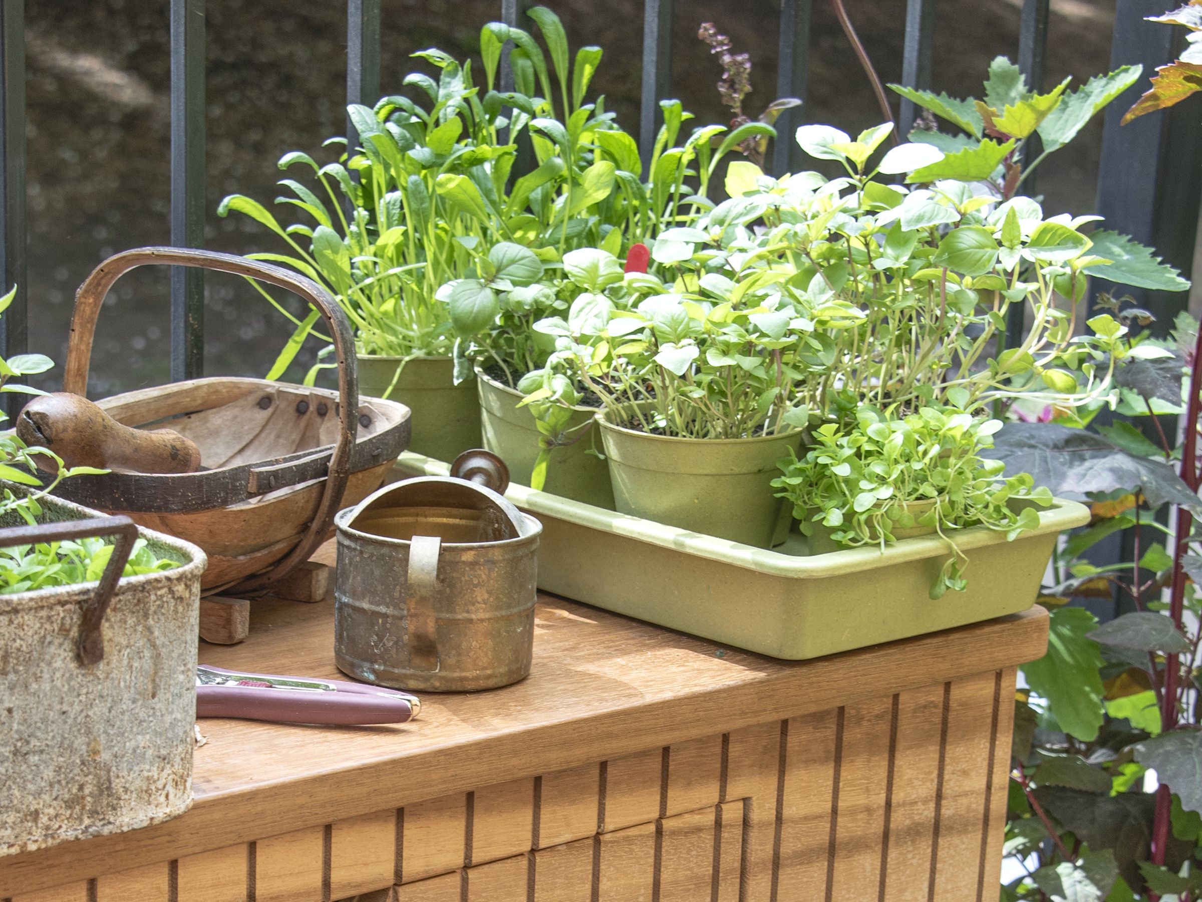 4脚セット IKEA ベングトホーガン The IKEA KORKGRAN Metal Planter is a Cottage Garden Staple | Homes