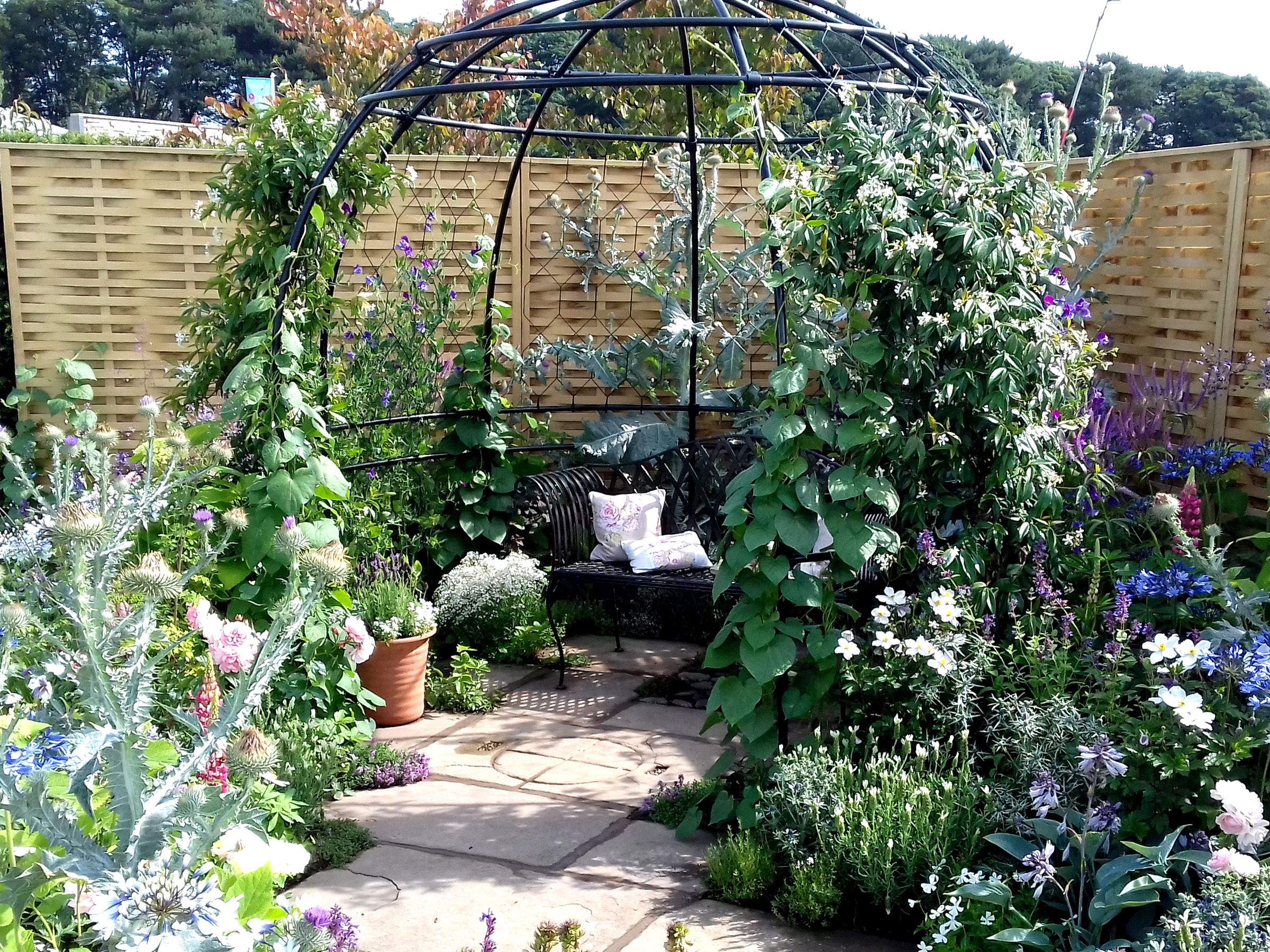 Climbing plant support ideas: how to support them as they grow | Gardeningetc