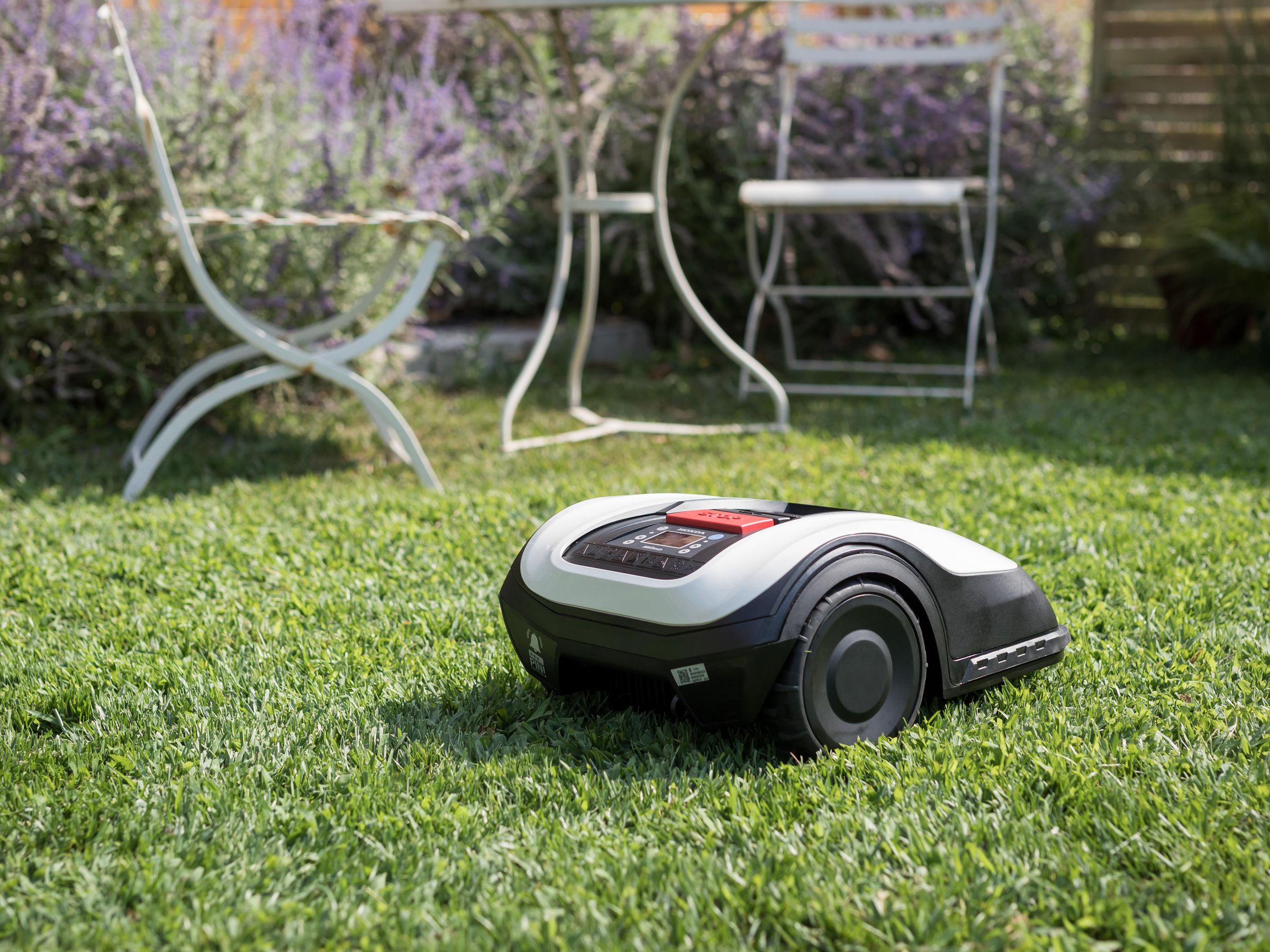 Honda Miimo HRM 40 Live lawn mower review: a reasonably price