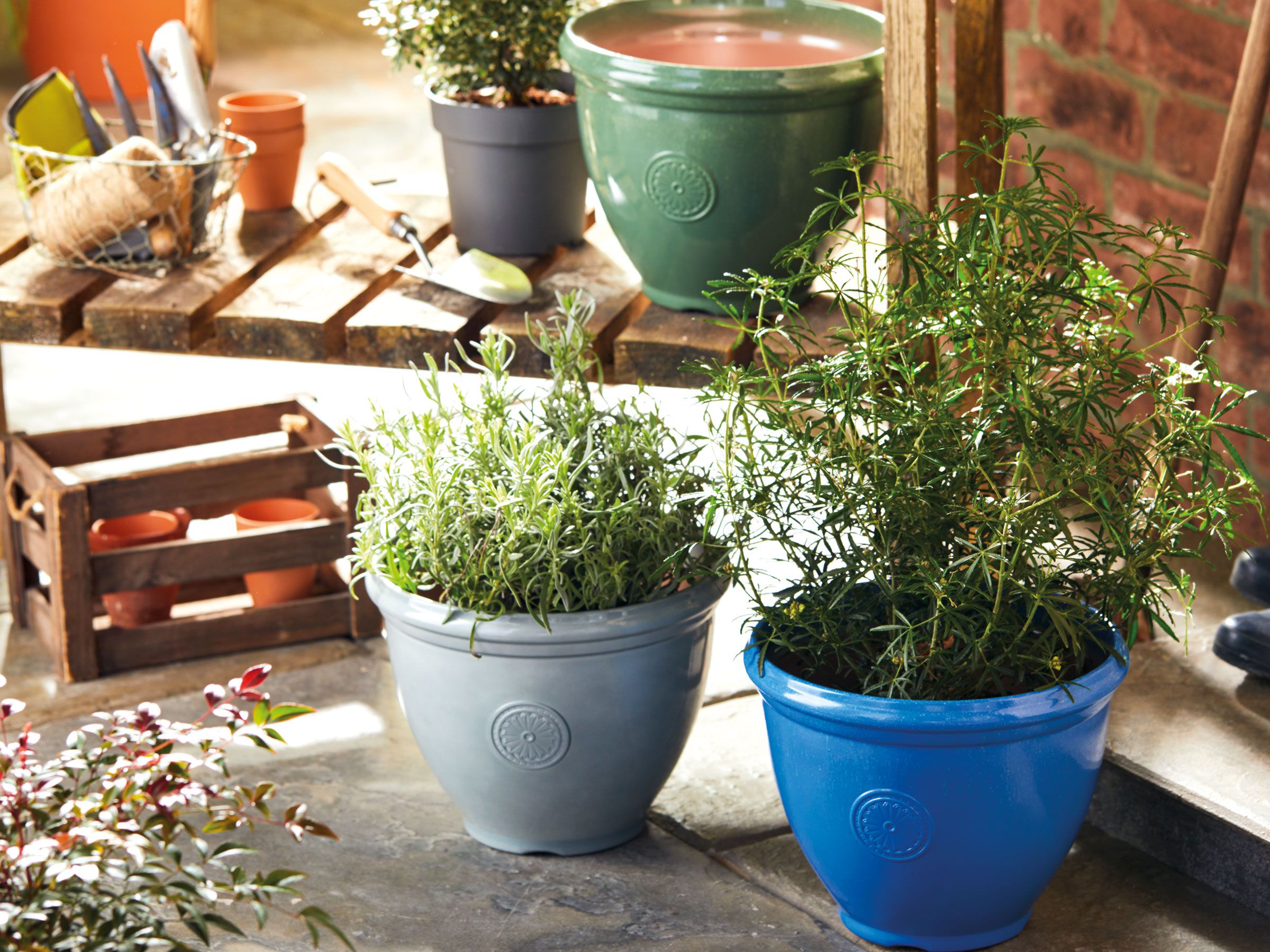 Aldi is selling these smart outdoor plant pots to rival those of the RHS |  Ideal Home