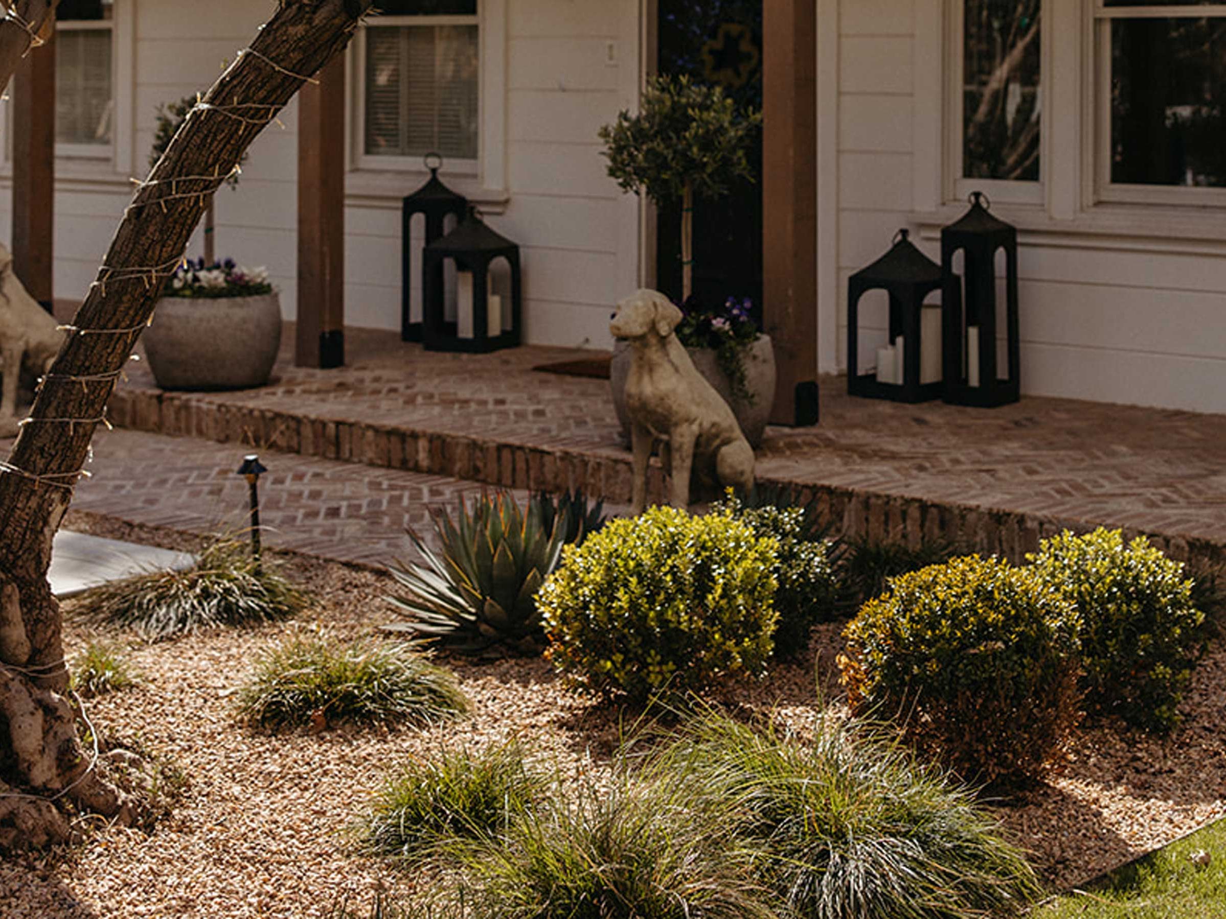 The best low maintenance plants for front yards | Livingetc