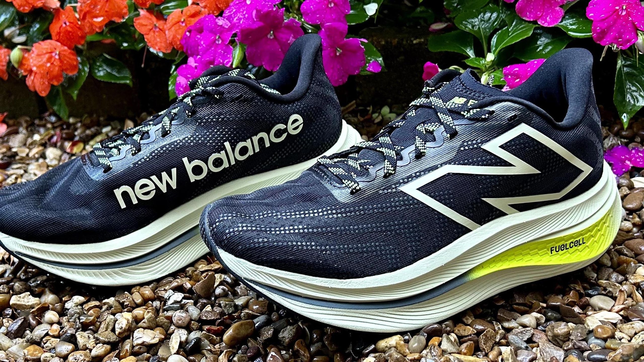 スパイク・シューズ New Balance FuelCell Trainer v2 wfgU6GVkXUCWJSF8Gn2j53.jpg
