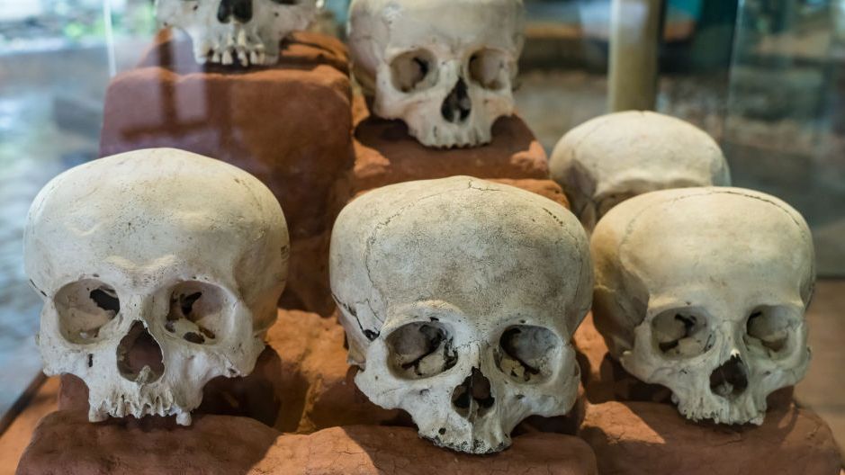 Skulls in the museum at the ruins of the Mayan city of Tonina, near Ocosingo, Mexico. The skulls were intentionally modified when the people were babies to have this characteristic shape.