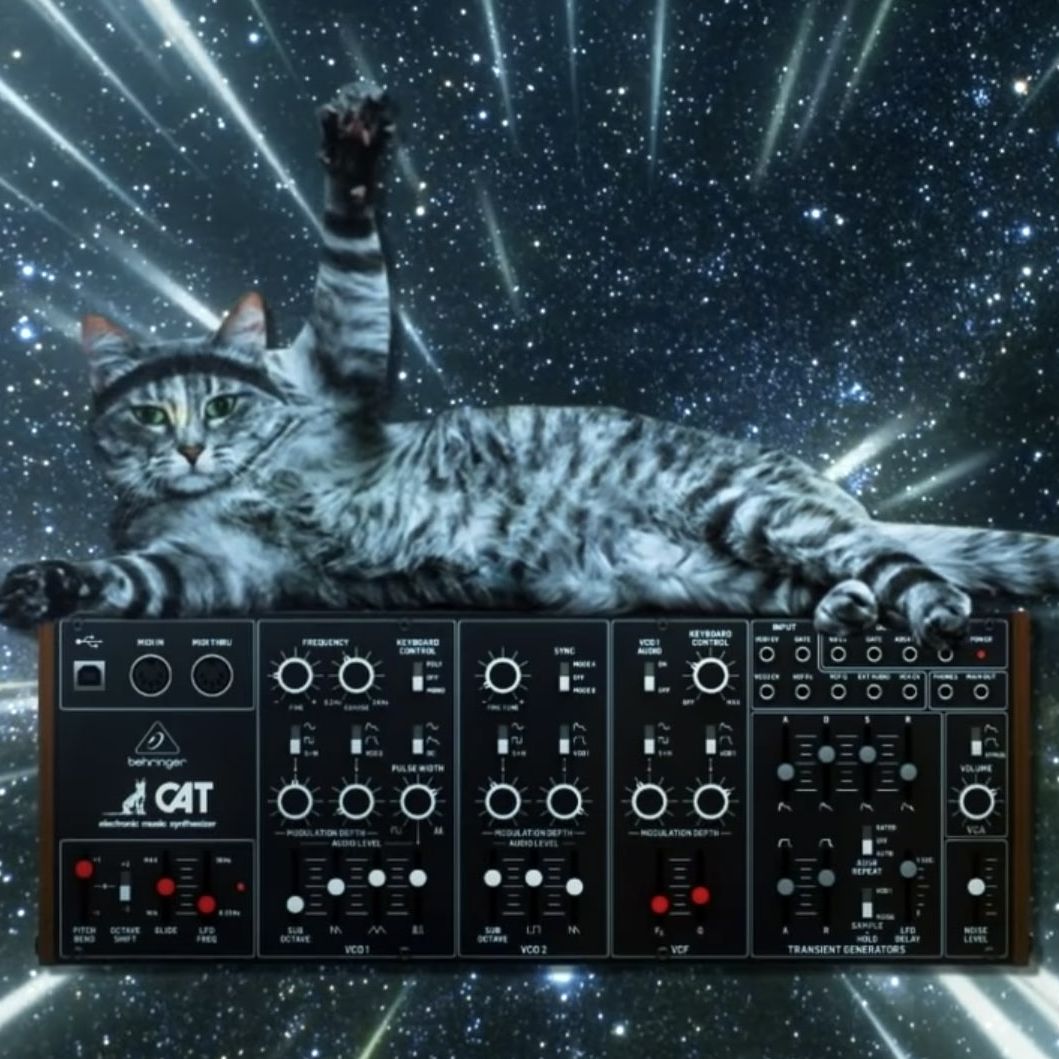 NAMM 2020: Behringer unleashes the CAT synth | MusicRadar