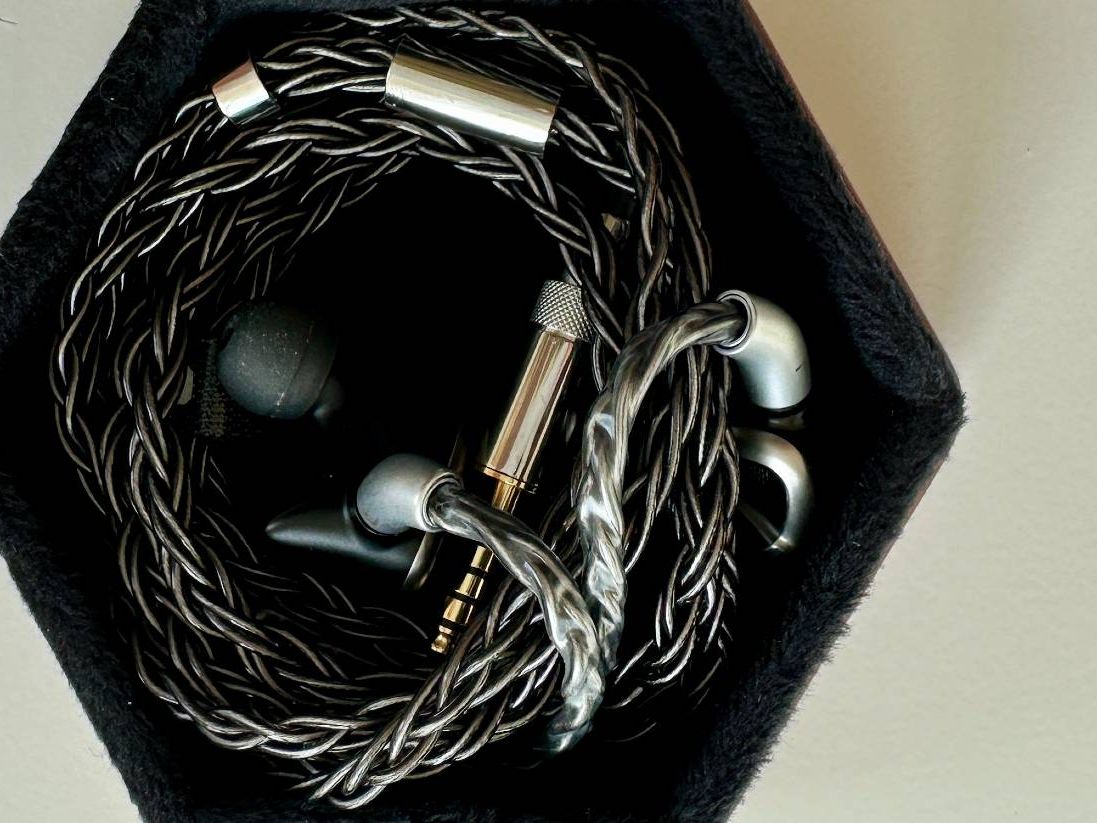 イヤホン Fiio FH19 Amazon.com: FiiO FH19 HiFi IEM Earphone| 2 Dynamic+ 6 BA