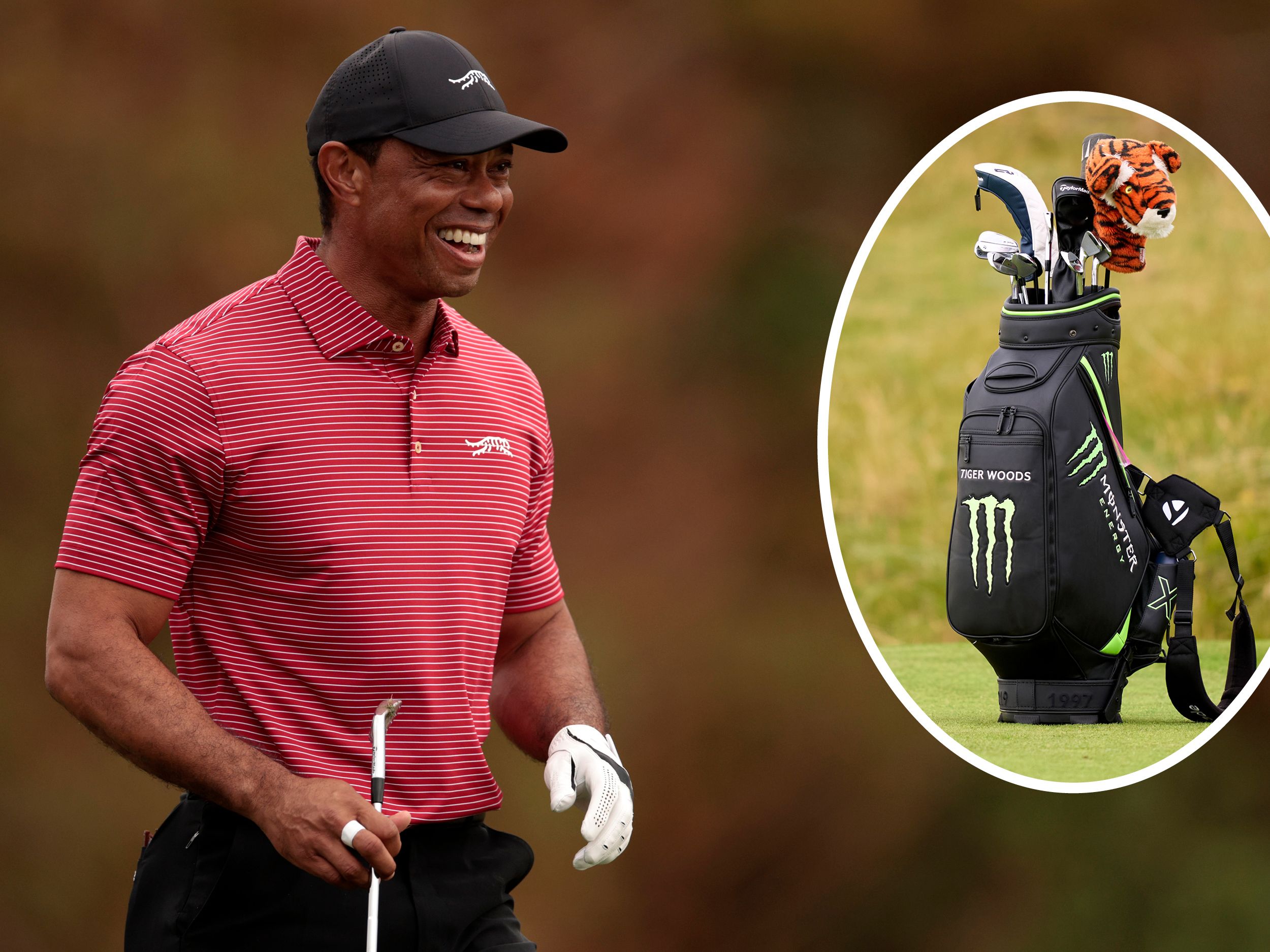 バイロン　GSS Tiger Woods SPEC バイロン GSS Tiger Woods SPEC バイロンデザイン GSS パター TW