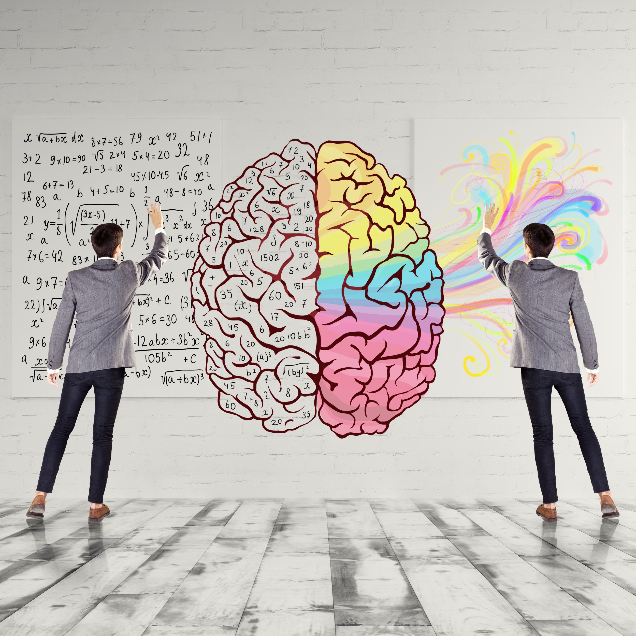 What's the difference between the right brain and left brain