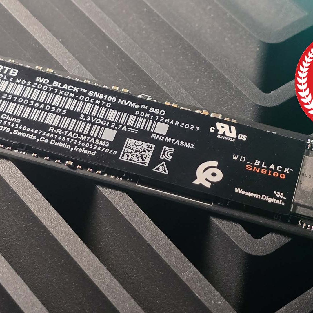 WD Black SN8100 2 TB NVMe SSD review | PC Gamer