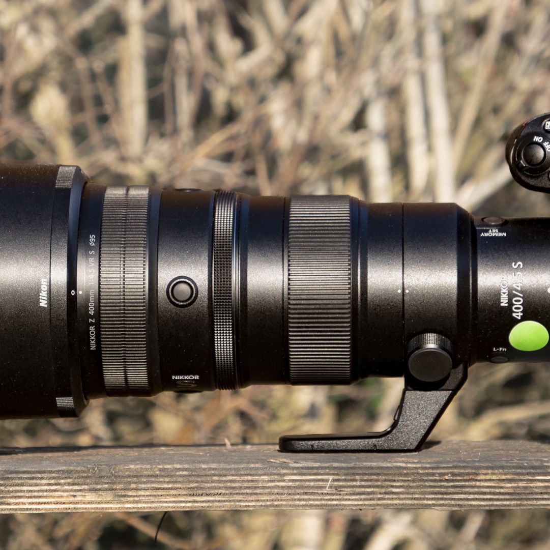 I took this Nikon super-telephoto lens on a dream safari trip