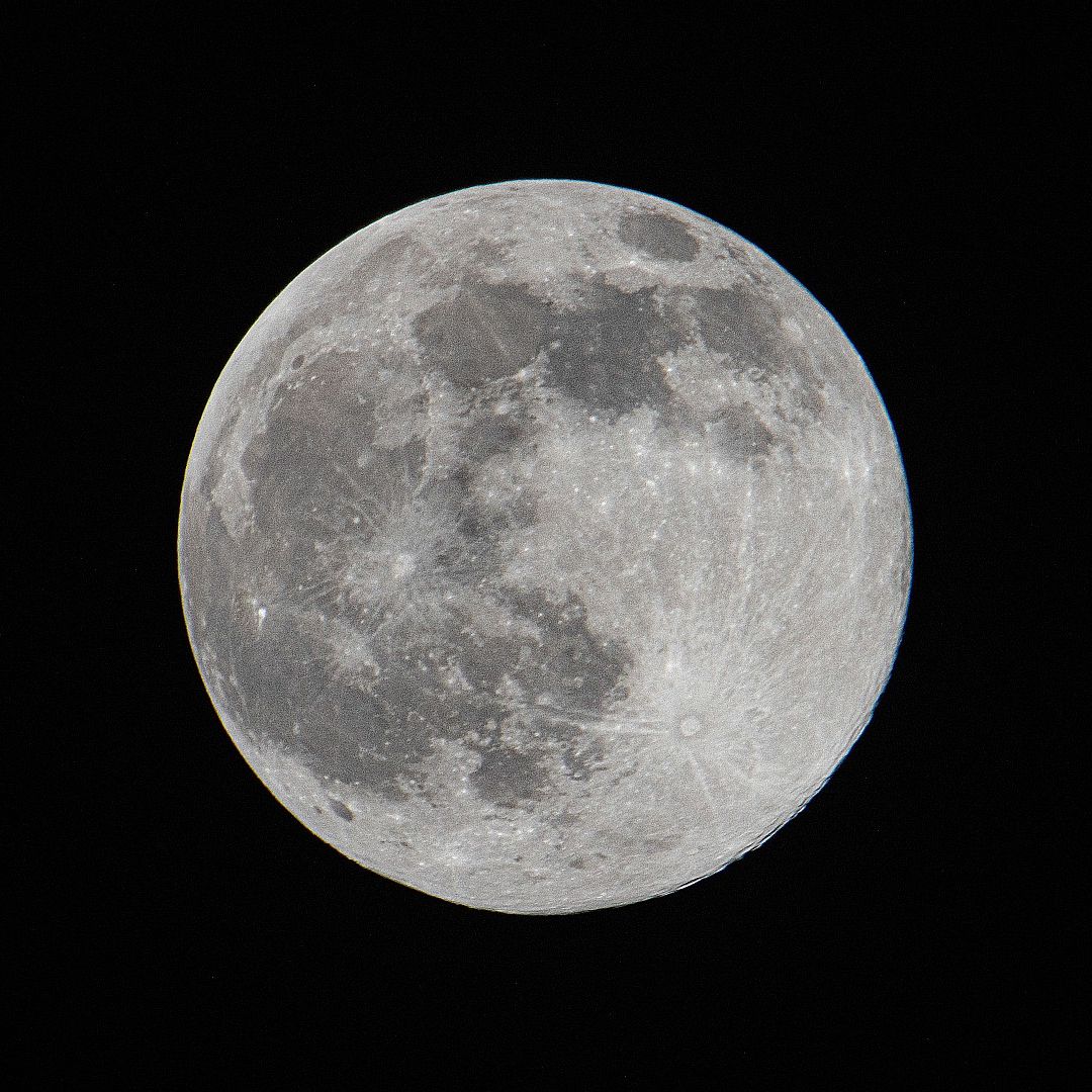 【中古】 At Night They Howl At The Moon 2KdXwLH4hJiyFRKoVuMfLK.jpg