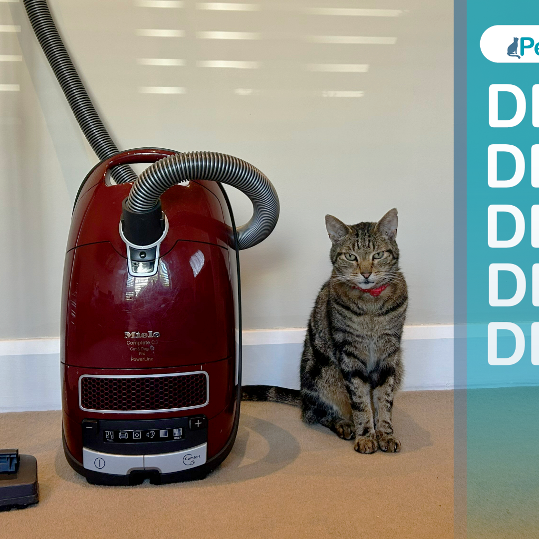Miele Complete C3 Cat and Dog PowerLine Amazon Pet Day deal