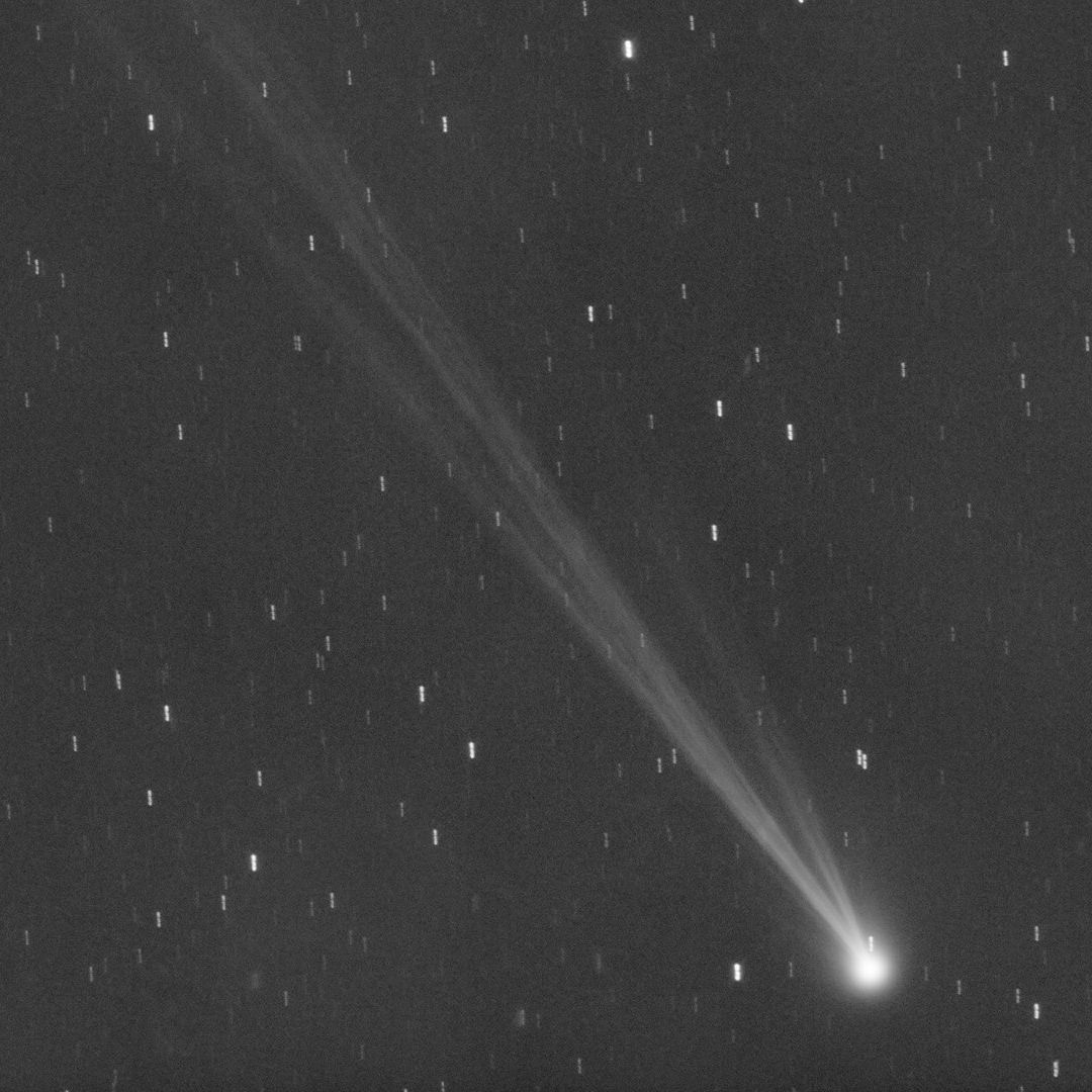 comet様 See Comet Nishimura get its tail blown off by a solar storm