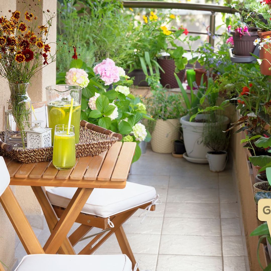 7 best plants for balconies  turn any space into a summer sanctuary |  Tom's Guide