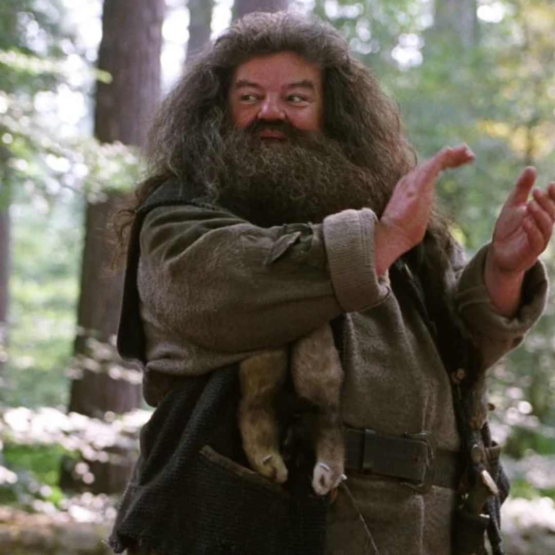 Harry Potter star Robbie Coltrane dies at 72 | GamesRadar+