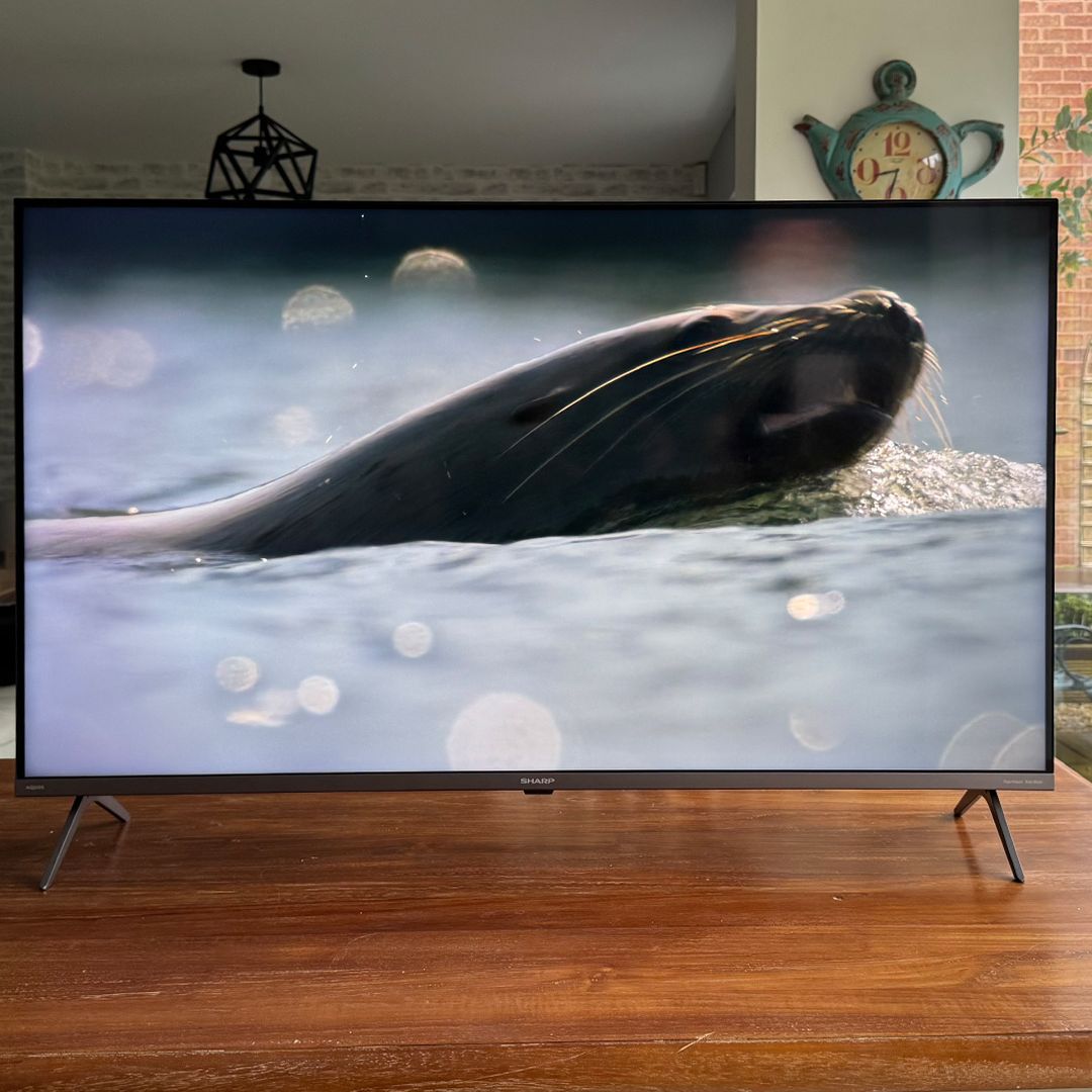 Sharp GM6245K 43-inch TV review: cheap and very cheerful | What Hi-Fi?