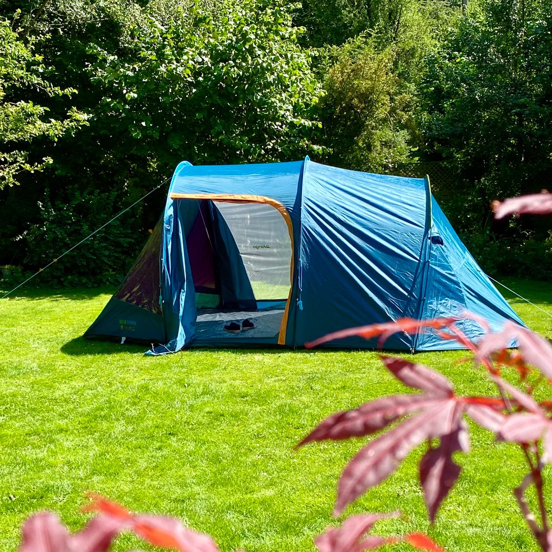 【tk】  Beta Bug Tent 9mupGbVhSKw7WFyLXsyow8.jpg