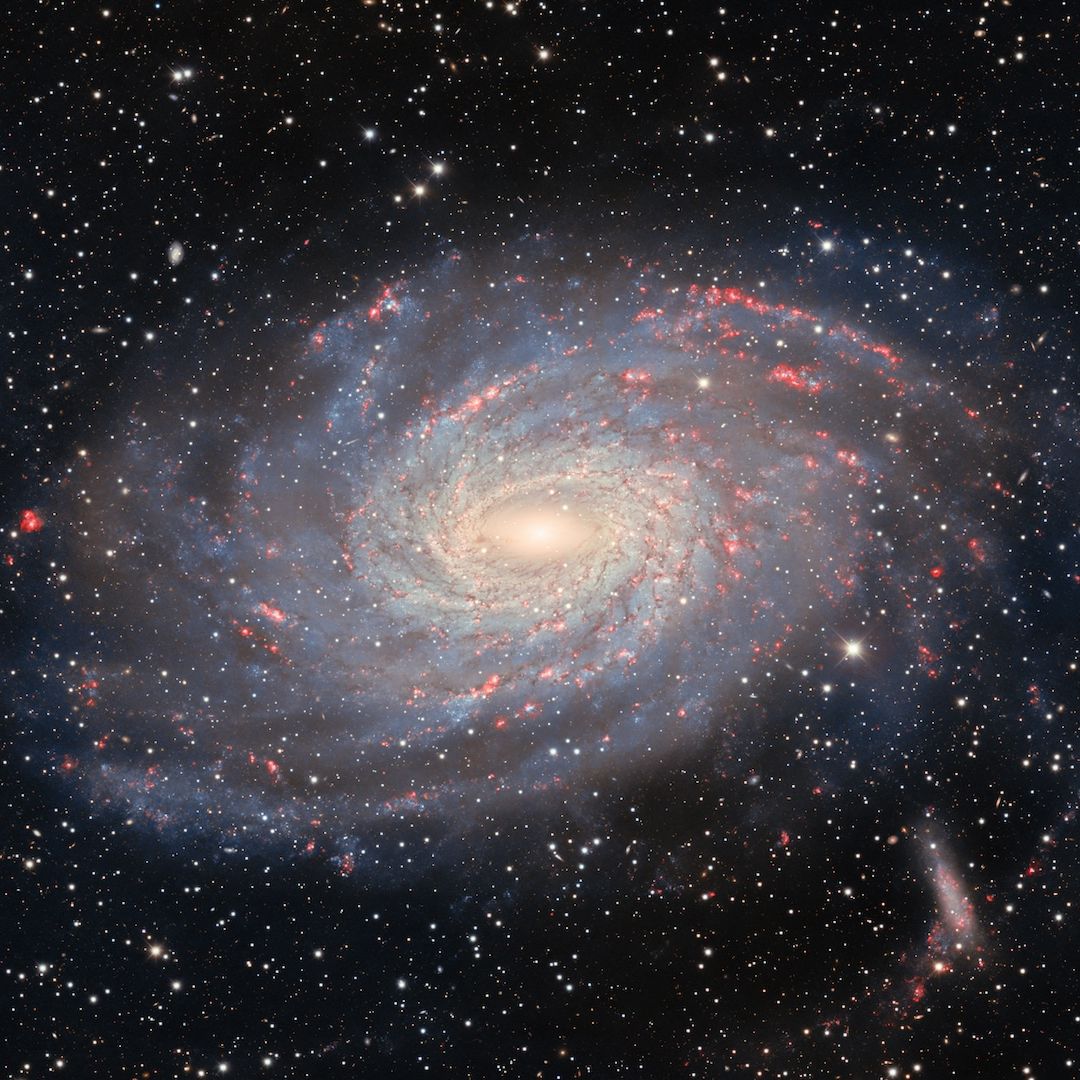 Space photo of the week: Milky Way's galactic twin captured by