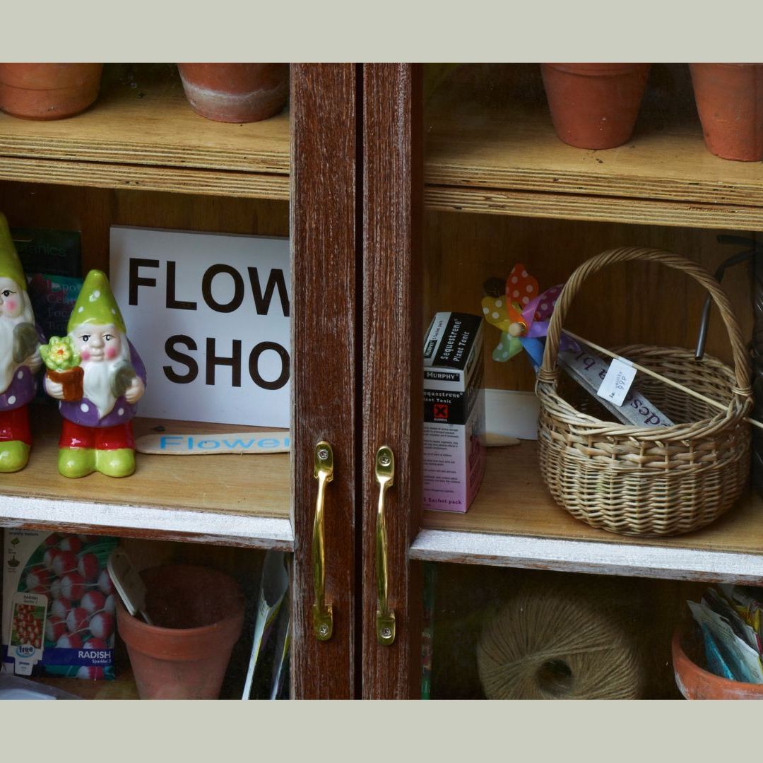Gnomes are back! Thanks to King Charles, the divisive garden