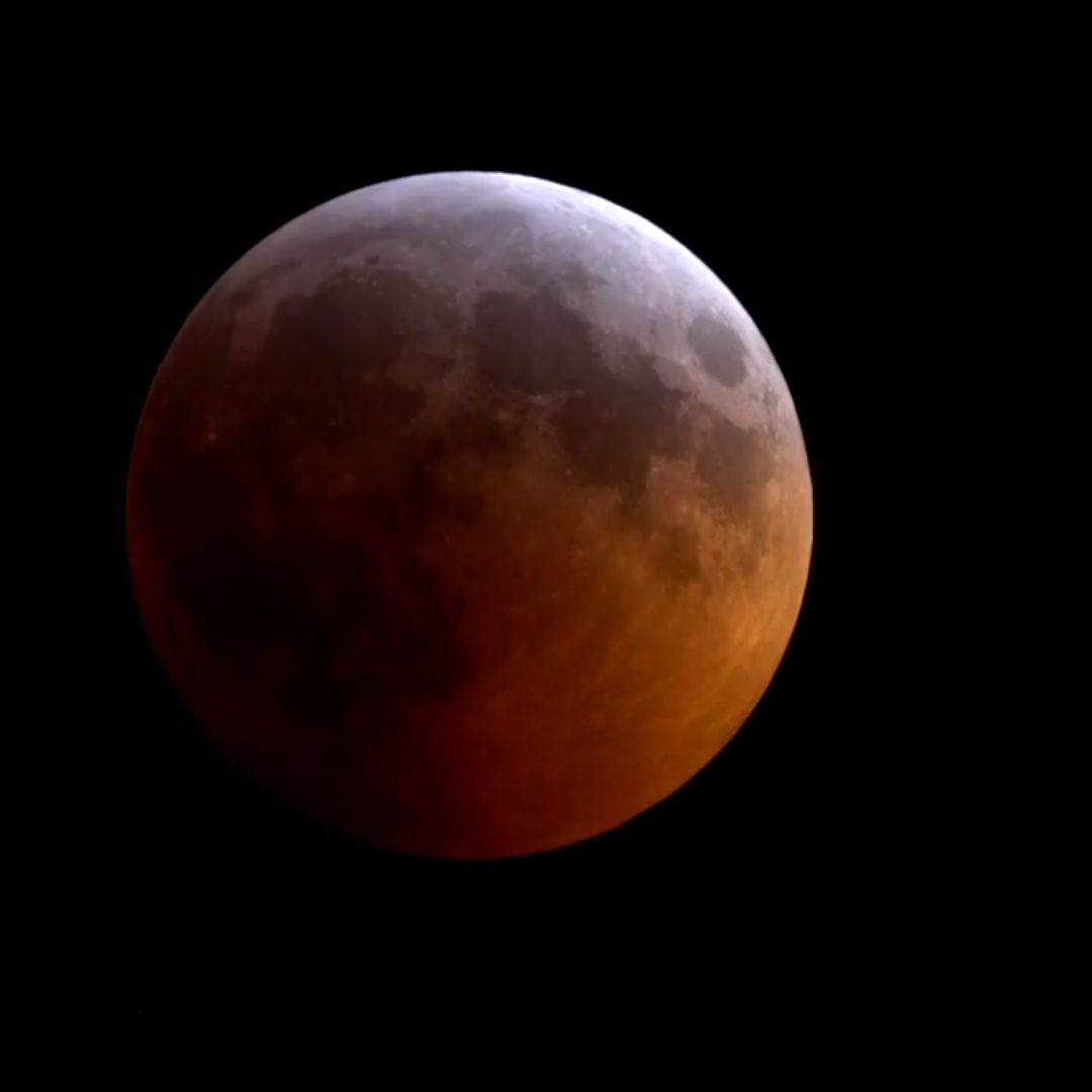 The Super Blood Wolf Moon Eclipse of 2019: A Red Lunar View! | Space