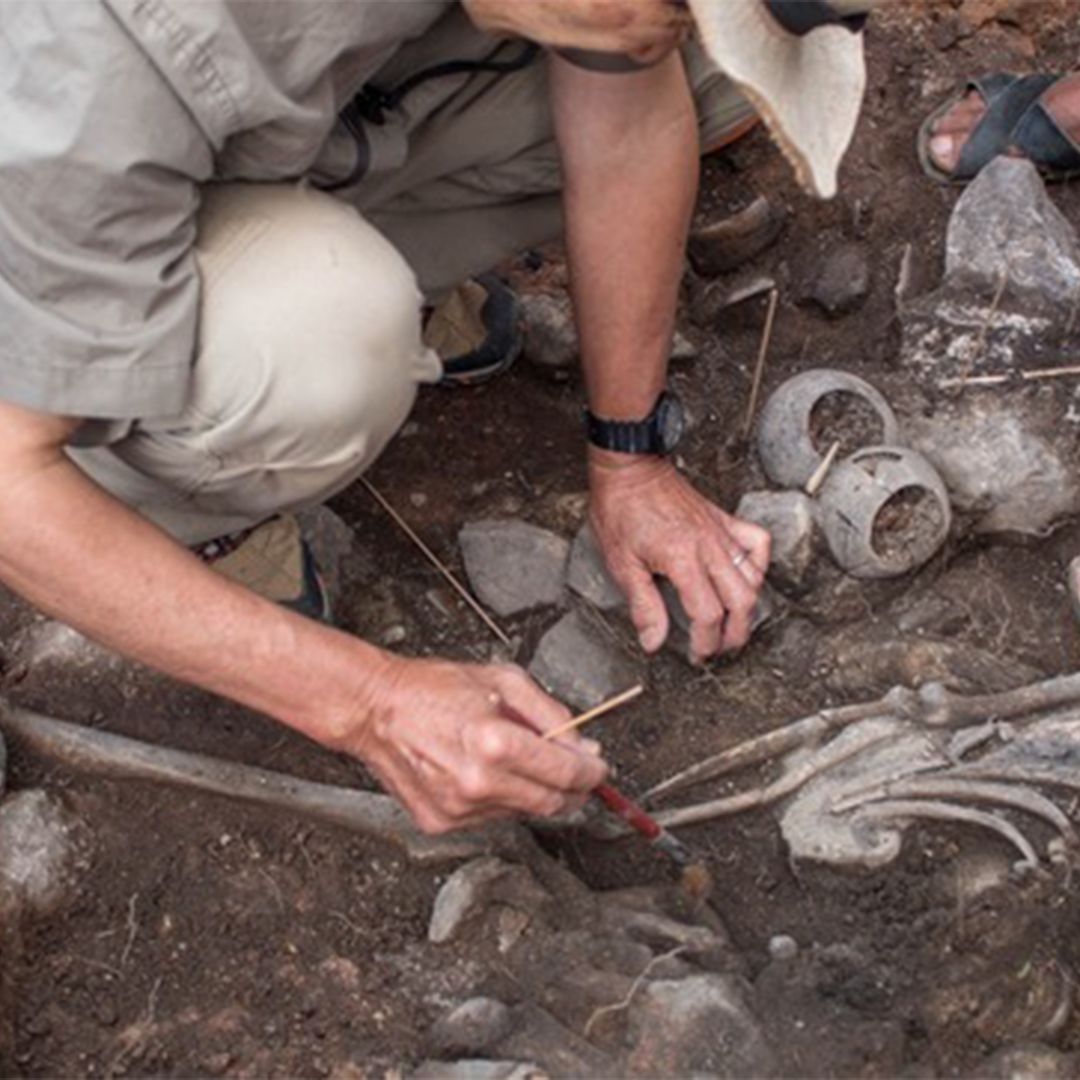 りゅうおまとめ購入】The Shamans of Prehistory Wayward Shamans: The