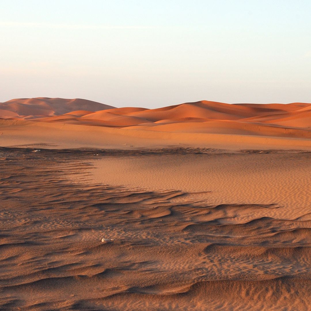 Terrain Types: Virtual vs Real World