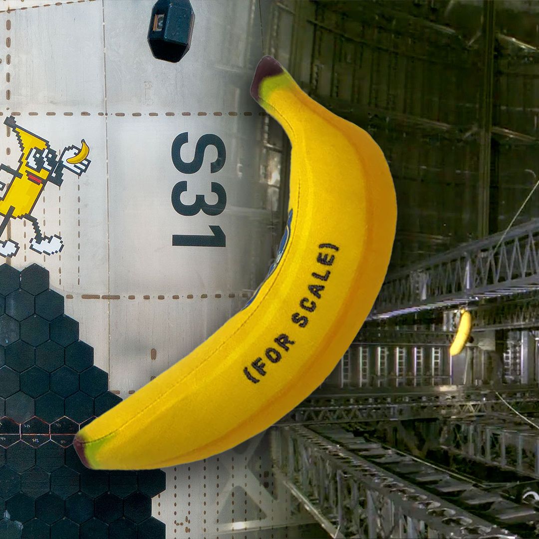 Toy banana becomes first zero-g indicator to fly on SpaceX