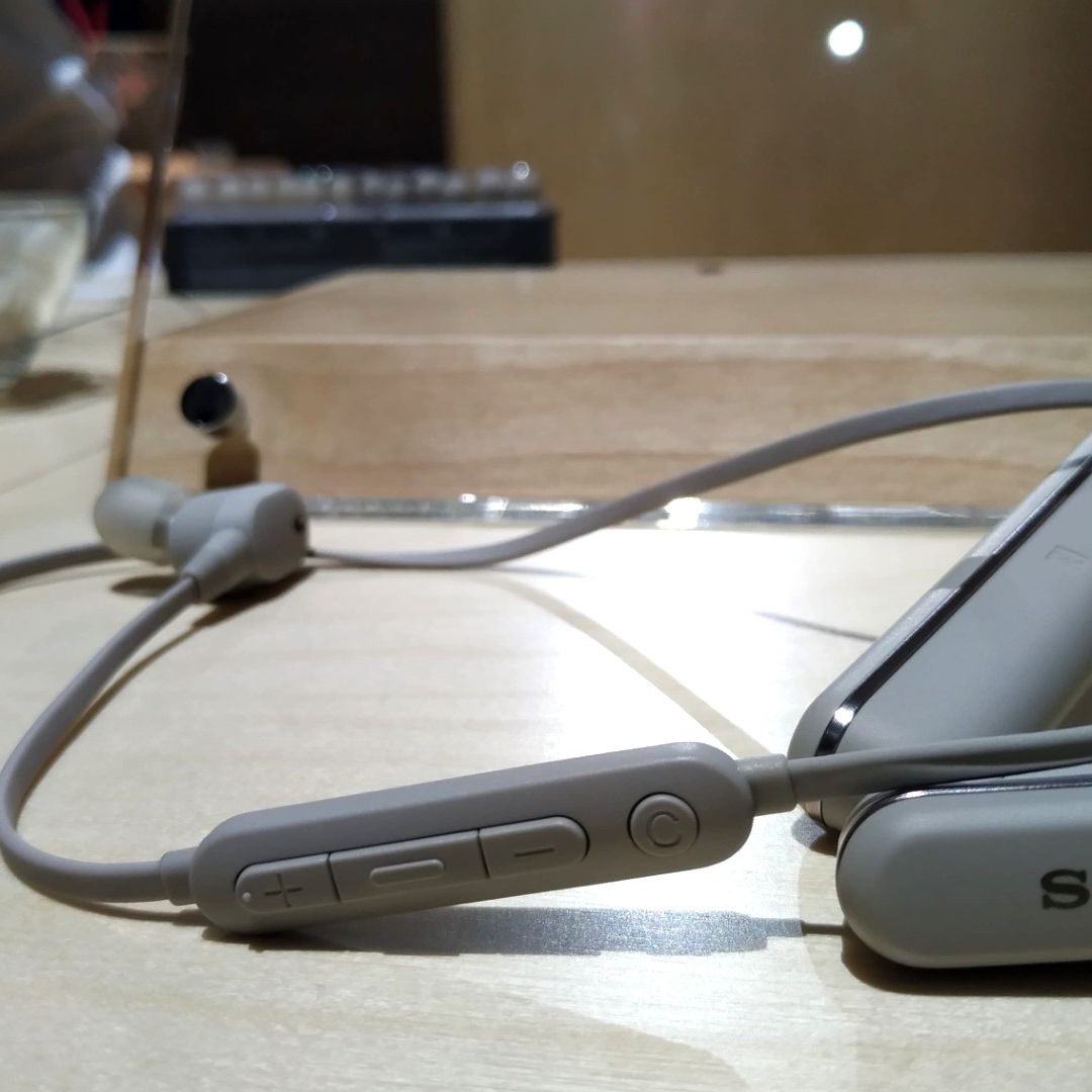 SONY - SONY WI-1000XM2(SM） Sony WI-1000XM2 Wireless Noise-Canceling In-Ear Headphones F