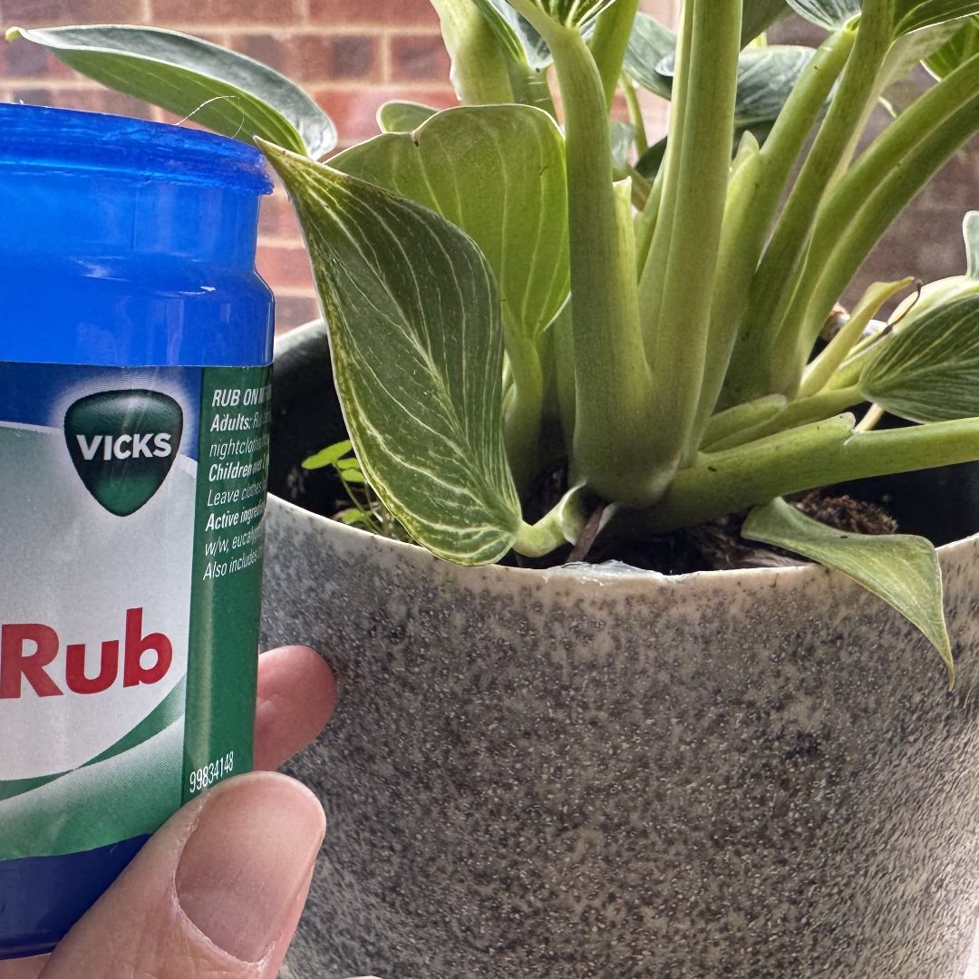 I've just discovered this strange hack that'll keep pests away from your  plants &mdash; and it uses a popular cold medicine | Tom's Guide