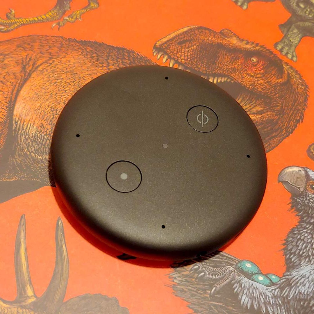 Amazon Echo Input review | TechRadar
