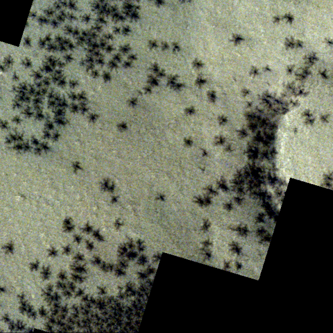Strange cluster of 'spiders' spotted in 'Inca City' on Mars (photo